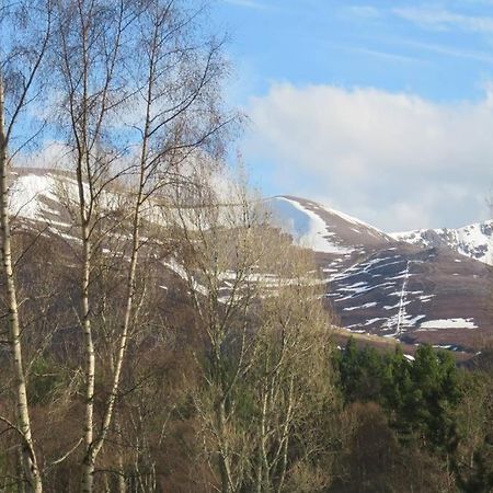 Pine Marten Bar Glenmore Pods Aviemore Exterior photo