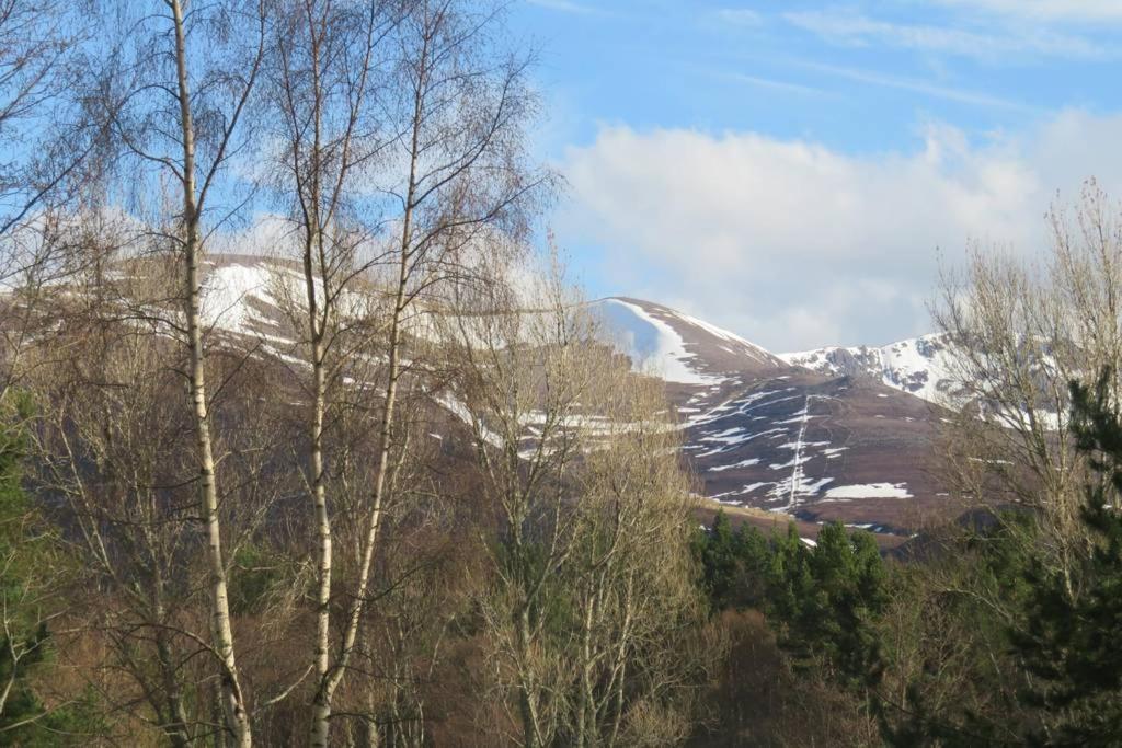 Pine Marten Bar Glenmore Pods Aviemore Exterior photo